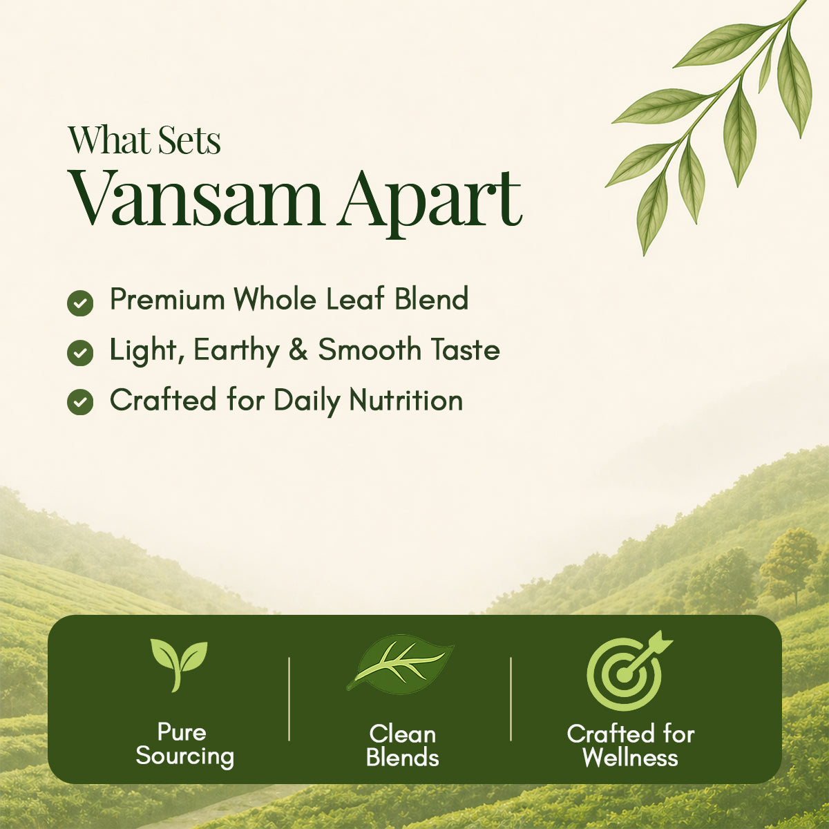 Vansam – Moringa Herbal Infusion | Herbal Infusion | Rich in Antioxidants | Boosts Immunity & Metabolism | 100gm Loose Leaf